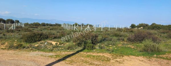 Didim Satılık 371 M'2 Arsa 1.950.000 Tl Akyeni Köy Mh