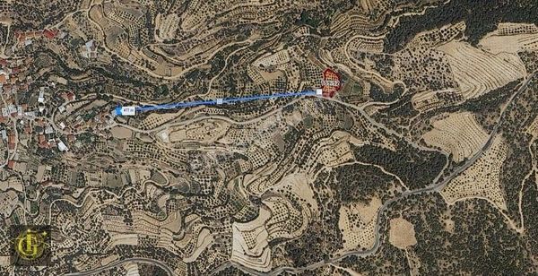 İkoniyumdan Aydın Bozdoğan Aksekide 1879 M2 Yatırımlık Tarla