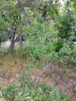 Tatköyde 241 M2 Suyu Olan Satılık Bahçe