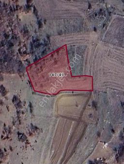 Afyon Prestij Gayrimenkulden Bilecik / İnhisar / Hisarcık Satılık Tarla