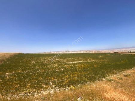 Ayaşın En Güzel Köyünde 37.191 M2 Harika Konumda Altyapılara Yakın Yatırımlık Satılık Tarla