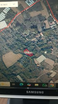 Bilecik İnhisar Da Doğa İle İç İçe Satılık Bahçe