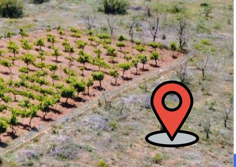 🌿 Hadim Göksu Şelalesi Yakınında 2.196m² Müstakil Tapulu Yatırımlık Bahçe