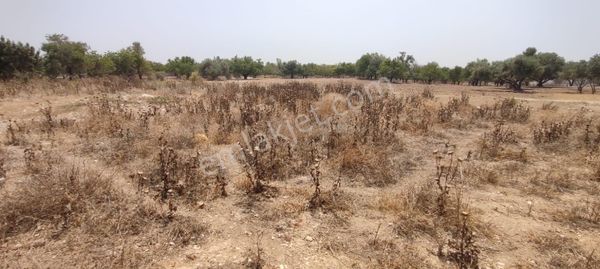 Fiyat Düştü.. Bulukluda İmarlı , Şehir Manzaralı Satılık Arsa