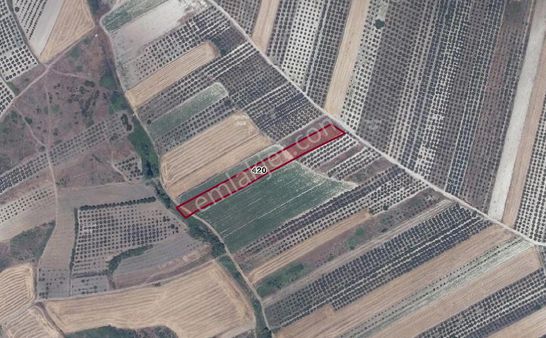 Era Söz Den Bursa Karacabey İsmetpaşa Mah. Satılık 4900m² Tarla