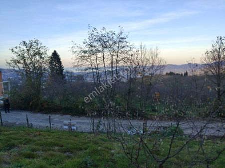 Trabzon Mağmat Kamışlı Satılık 9365 M2 Arsa