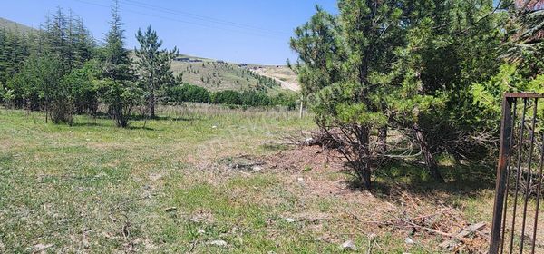 Beynam Mah Asvalt Cepeli Tek Tapu 17,500m2 Müstakil Arazi