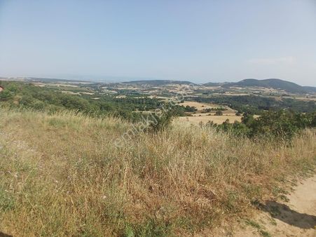 Hipotez'den Yenişehir Yeniköyde Tek Tapu Acil Satılık Tarla