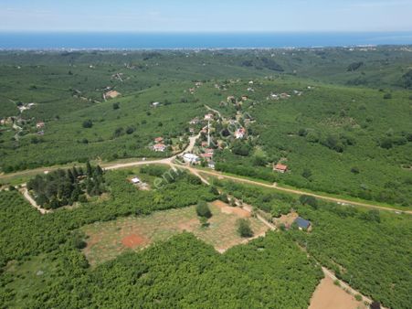 Kocaali Selahiyede Projeli Ruhsatlı *1100 M2* Satılık Parseller