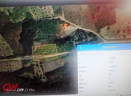 Gw Elite-t.dağ Şarköy Uçmakdere De Yola Cephe Satılık Bağ