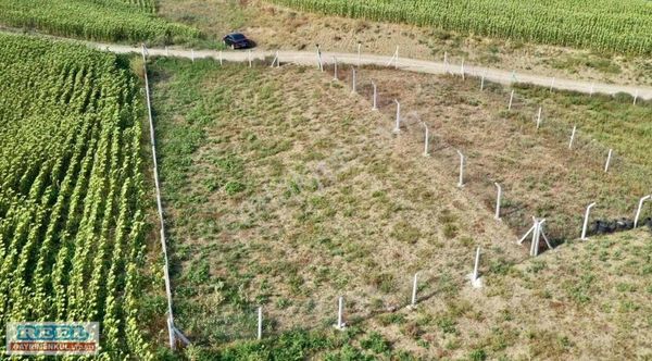 Karaisalı | Kuzgun'da | 549 M2 Tel Çitle Çevrili Fırsat Arsası