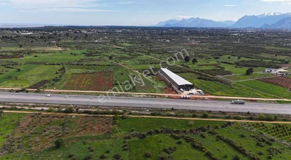 Yeni Yapılacak Organize Sanayi Etabının İçinde Satılık Tarla