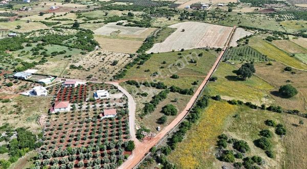 Köy İçinde Satılık Tarla Kuzeyçevre Yoluna Yakın