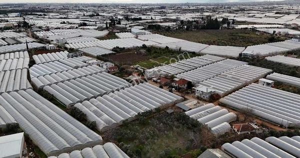 Sera Ev Yapımına Uygun Elektrik Su Dibinde Satılık Tarla