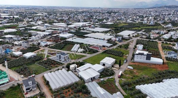 5 Kata Kadar İmarlı 0.75 Emsal Satılık Kupon Arsa