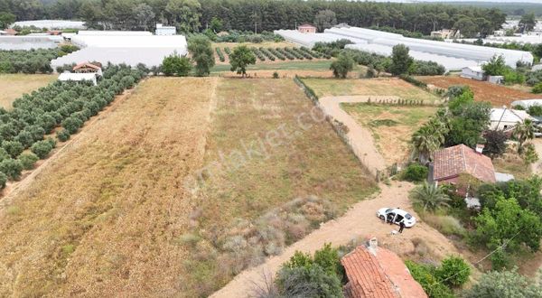Ev Depo Sera Yapımına Uygun Mahalle İçi Satılık Tarla