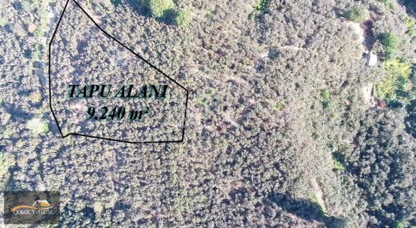 Akçakoca'da Resmi Yola Cephe 9,238 M2 Satılık Fındık Bahçesi