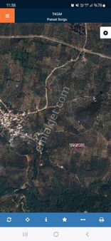 Bursa Orhangazi Heceler Mahallesi Satılık Zeytinlik