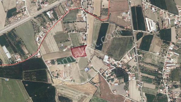 Çimencik Mah. 16,5 Evlek Satılık Tarla