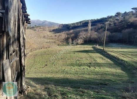 Altınköşe Emlak Satılık' Mudurnu-güveytepe ' 1.972m2 Köy İçi