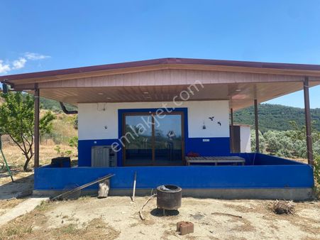 Kusadası Yaylaköyde Satılık Arsa Ve.ev