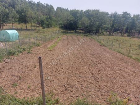 Antant Emlaktan Haydariye Köyünde