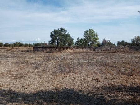 Eceabat Alçıtepe Anayola Cephe Tarla