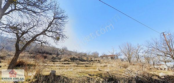 Talas Endürlük De Bağ 399 M2 Satılık