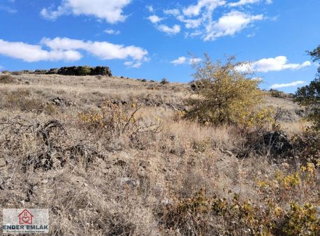 Acil Kuşçu Da Satılık Tek Tapu 1539 M2 Bağ