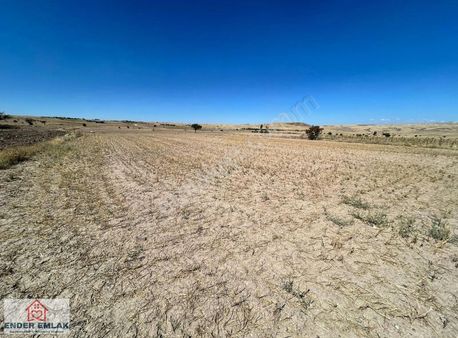 Erkilet Boyacı Satılık Müstakil Tapulu 2778 Metrekare Tarla