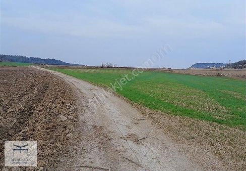 Sarıçam Kılıçlı Satılık Yol Cepheli Arazi