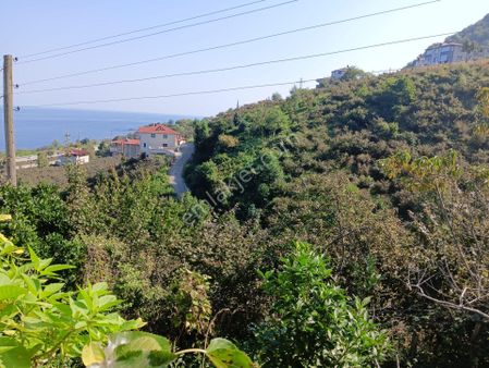 Espiye Değirmenağzı'nda Denize 150 M Mesafede Satılık Arsa