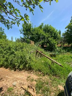 Manisa Ahmetli Dereköy Mah.521m² Arsa Satılık