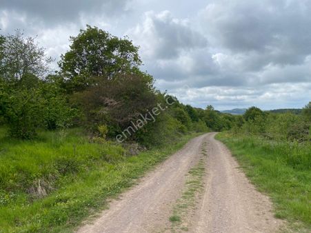 Fırsat-şile Ağva Geredeli Satılık Arsa-982m2