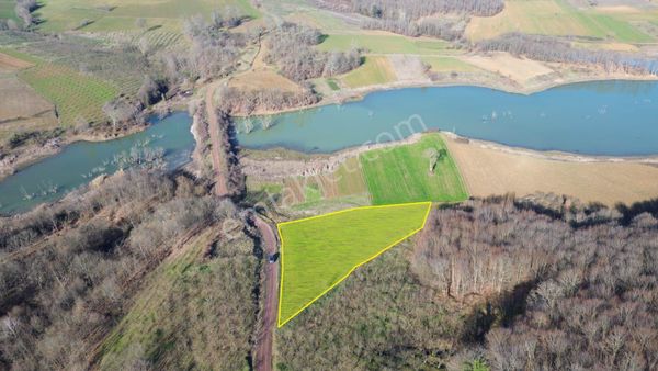 Kocaeli Kandıra Sarıcaali'de Gölete Yakın Satılık Arsa