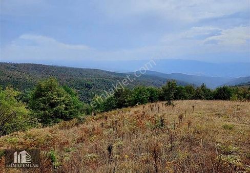 Acil ! Bursa İnegöl Cemıyet'te 2.033 M2 Tek Tapu Fırsat