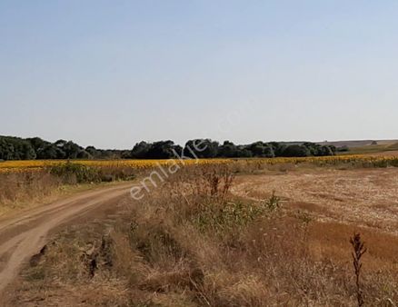 Babaeski Düğüncülü Köyünde Yola Cepheli Fırsat Tarla
