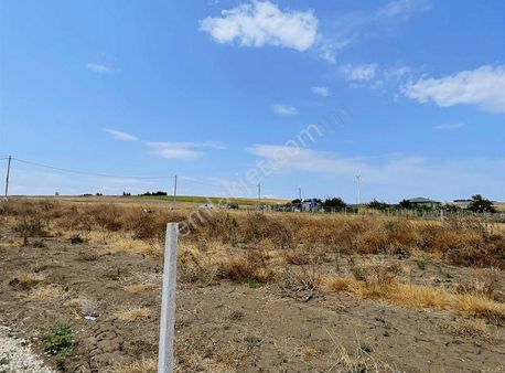 Çatalca Elbasan'da 250m2 Yerleşimin İçinde Elektrik Bağlı