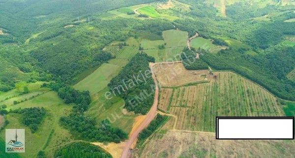 Kocaeli İzmit'te Kaçmaz Fiyata Doğa İçinde 11.505m2 Arsa