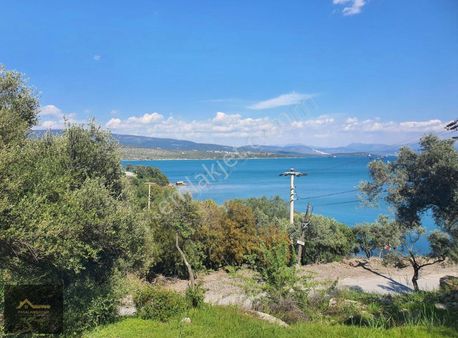 Milas Kıyıkıslacık'ta Denize Sıfır 38 Dönüm Yatırımlık Arazi