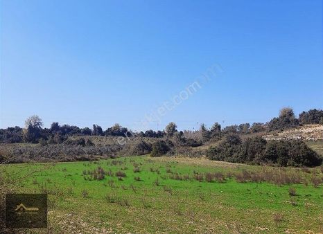 Manavgat Çolaklıda Doğa İçinde Kaçırılmaz Yatırım Fırsatı!
