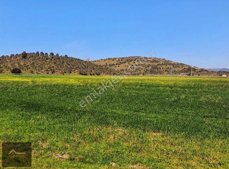 Milas Meşelikte 7.335 M² Yatırımlık Arazi!