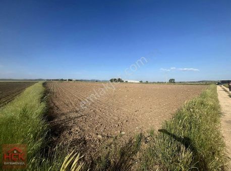 Ömerli Yolu Üzerinde Yola Sıfır Satılık Tarla