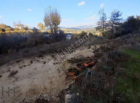 Seydikemer Seydiler'de 2.045 M2 Satılık Arazi