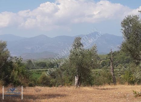 Kıncılar'da Satılık Arazi
