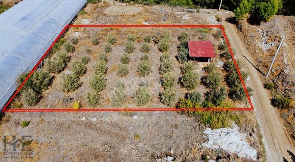 Eldirek'te Full Deniz, Şehir Ve Doğa Manzaralı Satılık Arazi