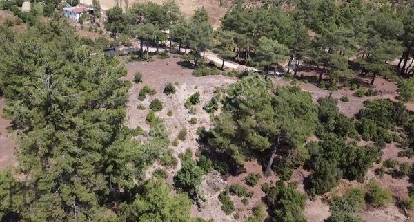 Nif Mahallesi'nde Eşsiz Güzellikte Satılık Yer