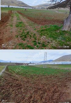 Seydikemer Seki'de 7230 M2 Satılık Arazi