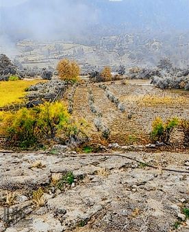 Seydikemer Arsaköy'de Fırsat Arazi