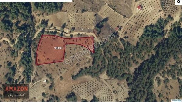 Amazondan Sarıçukurda Baraj Manzaralı Fırsat Arsa